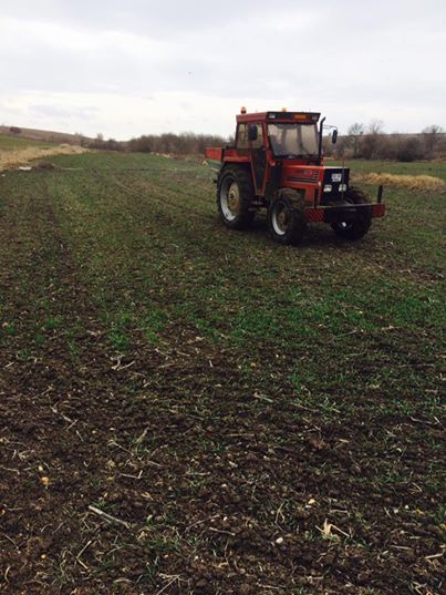 Babaeski Minnetler Köyü Resimleri 2
