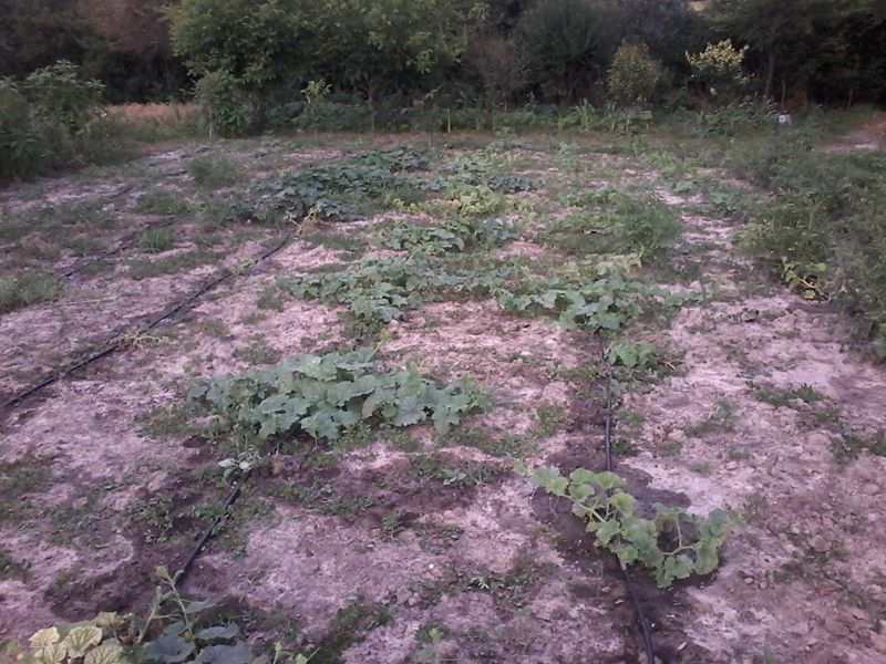 Babaeski Minnetler Köyü Resimleri 3