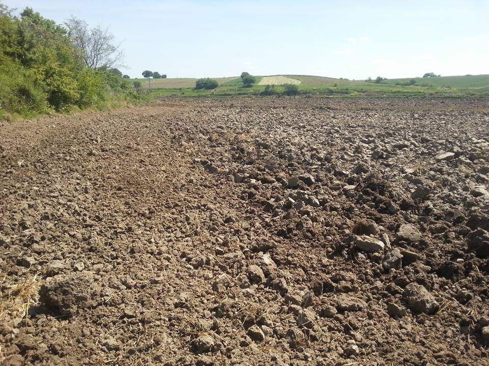 Babaeski Minnetler Köyü Resimleri 5