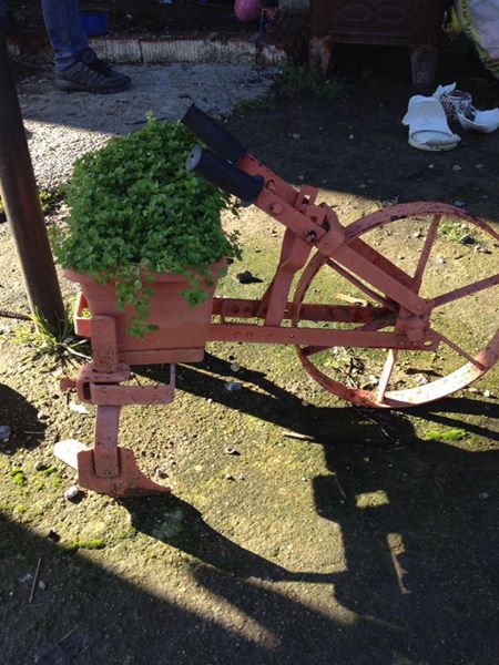 Babaeski Minnetler Köyü Resimleri 7