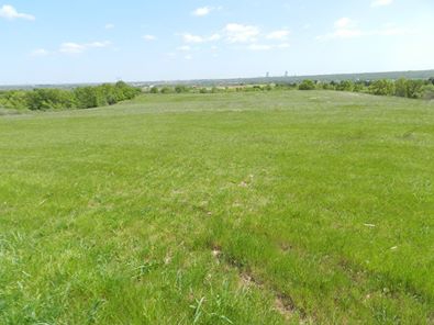 Babaeski Müsellim Köyü Resimleri 10