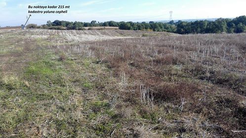 Babaeski Müsellim Köyü Resimleri 5