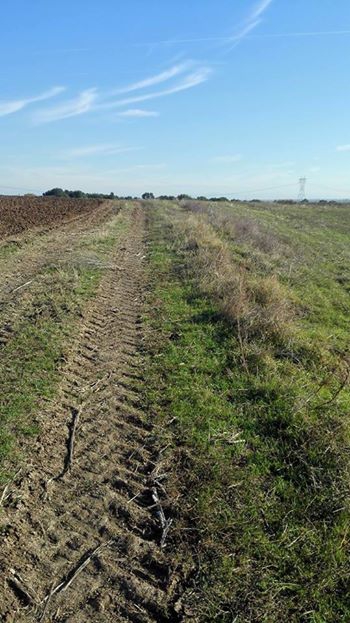 Babaeski Müsellim Köyü Resimleri 8