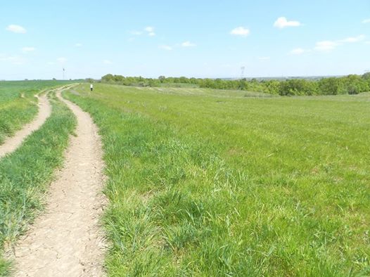 Babaeski Müsellim Köyü Resimleri 9