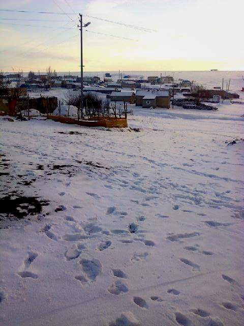 Malazgirt Çayırdere Köyü Resimleri 7