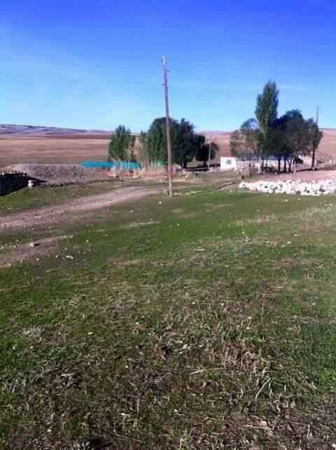 Malazgirt Doğantaş Köyü Resimleri 1