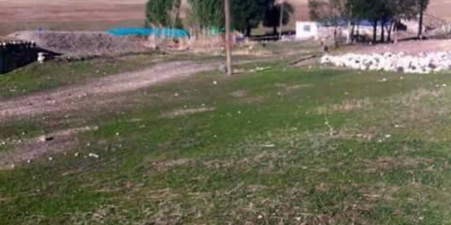 Malazgirt Doğantaş Köyü Resimleri