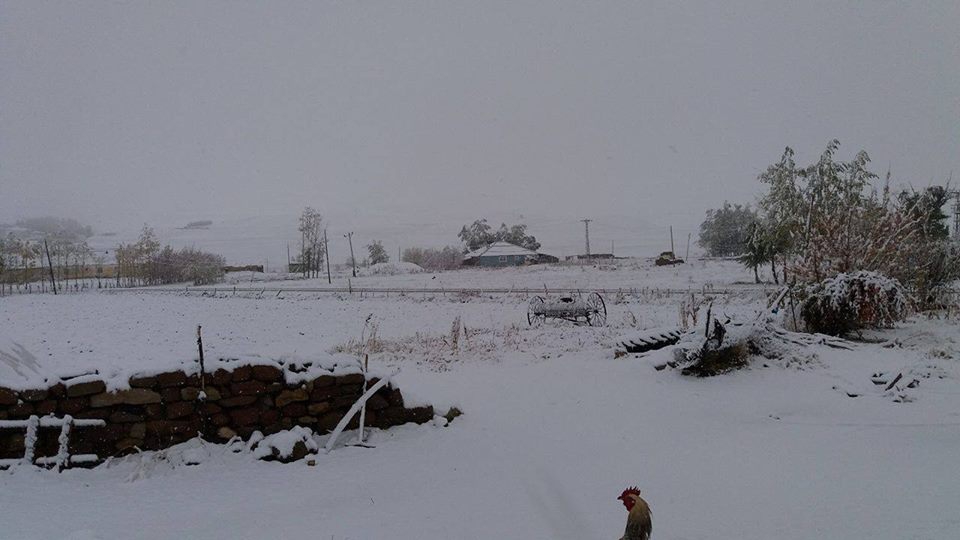 Malazgirt Erence Köyü Resimleri 4