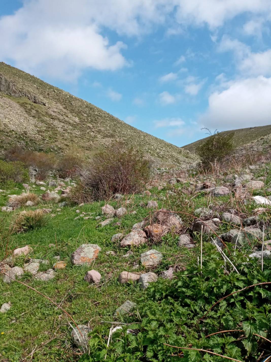 Malazgirt Gölağılı Köyü Resimleri 4