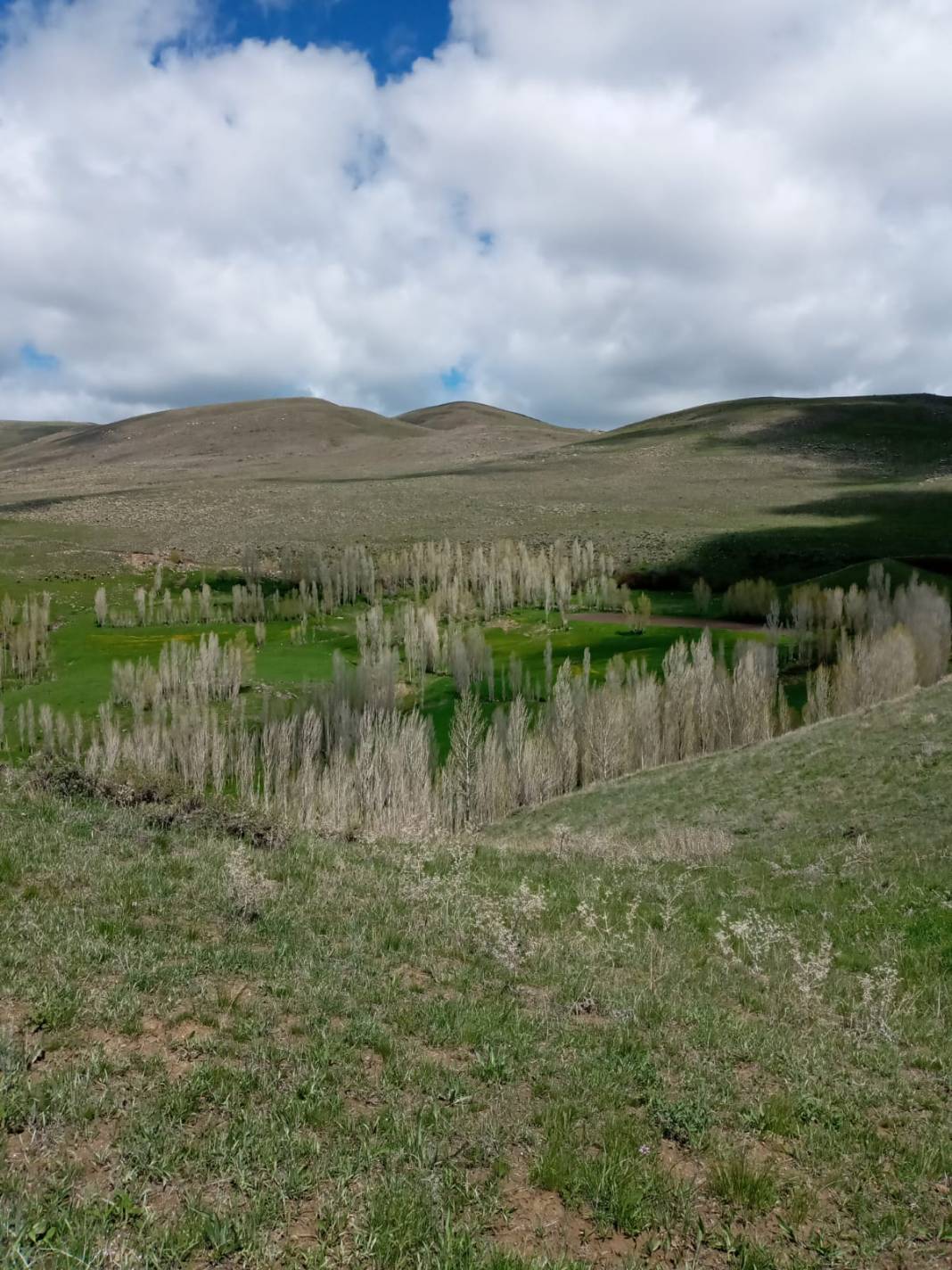 Malazgirt Gölağılı Köyü Resimleri 6