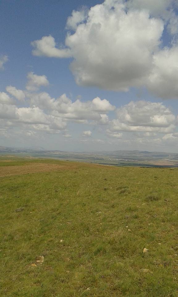 Altınyayla Başyayla Köyü Resimleri 4