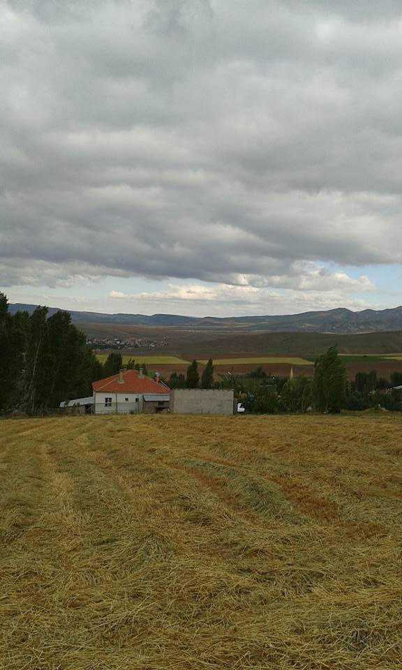 Altınyayla Başyayla Köyü Resimleri 7