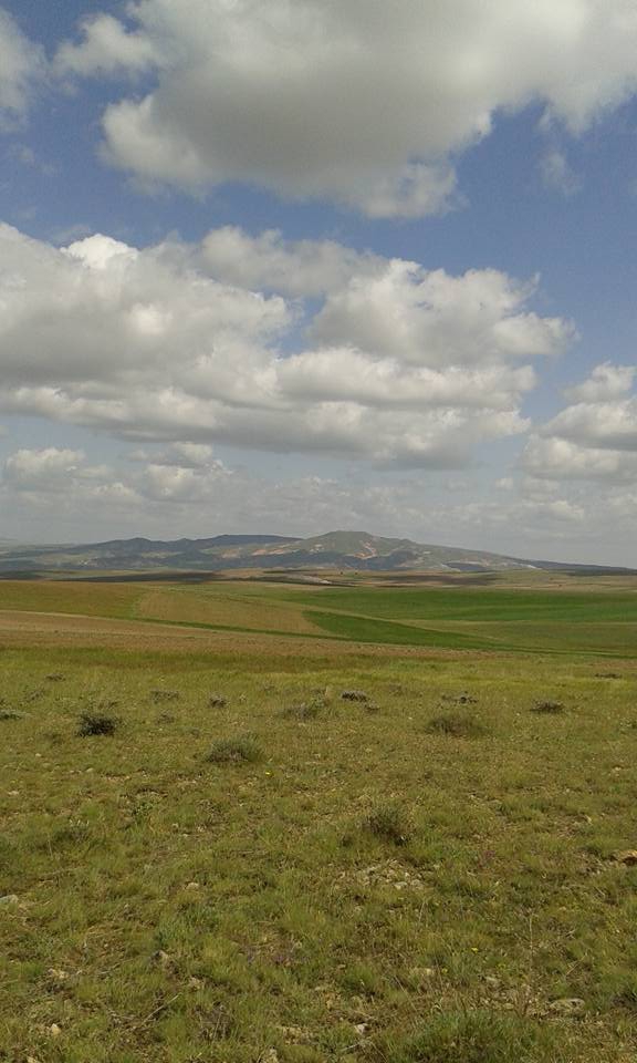 Altınyayla Başyayla Köyü Resimleri 8