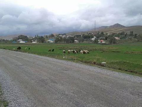 Malazgirt Kardeşler Köyü Resimleri 11