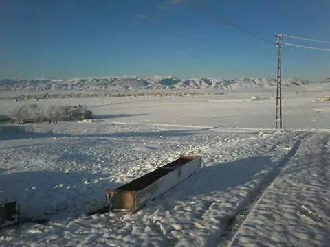 Malazgirt Kardeşler Köyü Resimleri 4