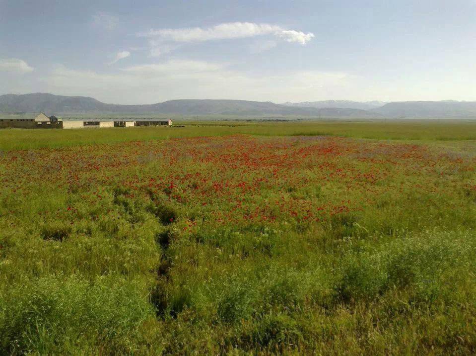 Malazgirt Kardeşler Köyü Resimleri 8