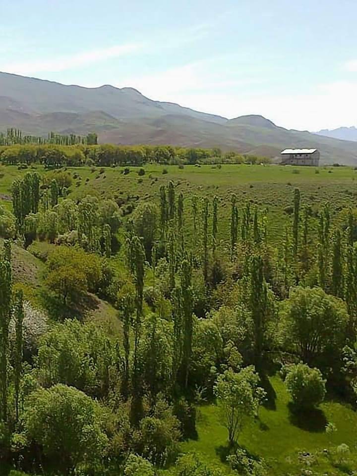 Malazgirt Karıncalı Köyü Resimleri 5