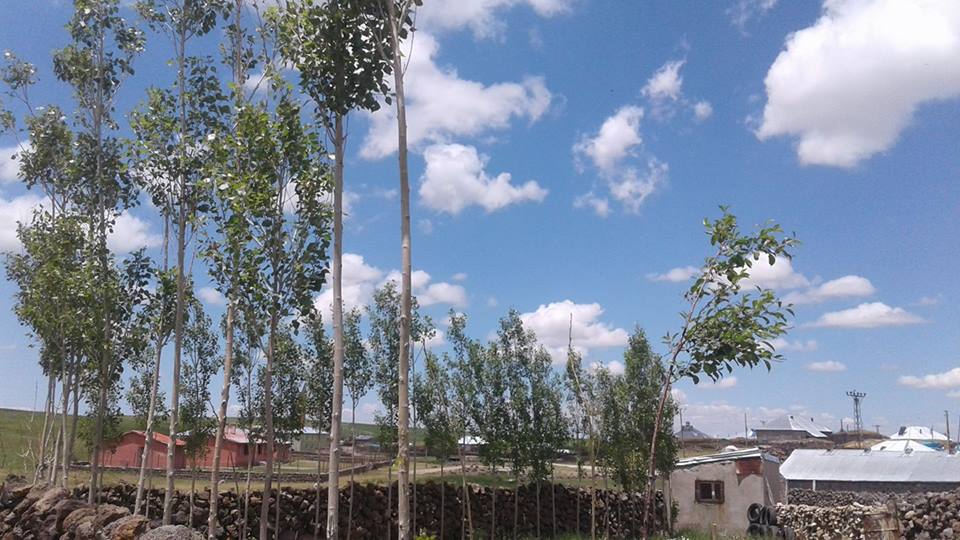 Malazgirt Kızılyusuf Köyü Resimleri 3