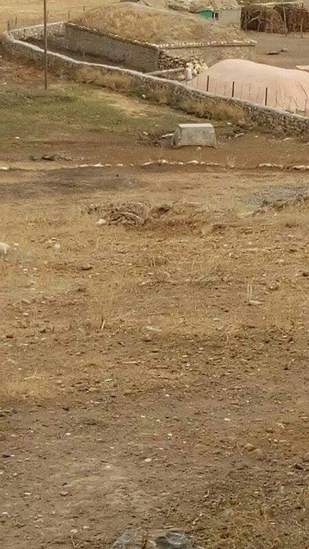 Malazgirt Koçali Köyü Resimleri 6