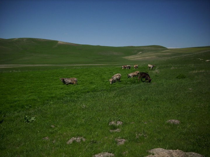 Malazgirt Kuruca Köyü Resimleri 6