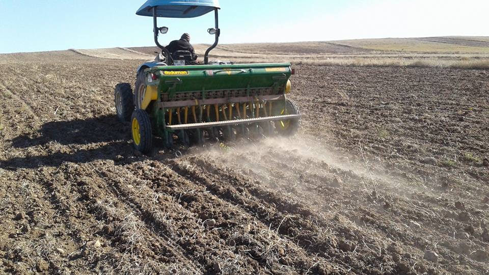 Akıncılar Sevindik Köyü Resimleri 6