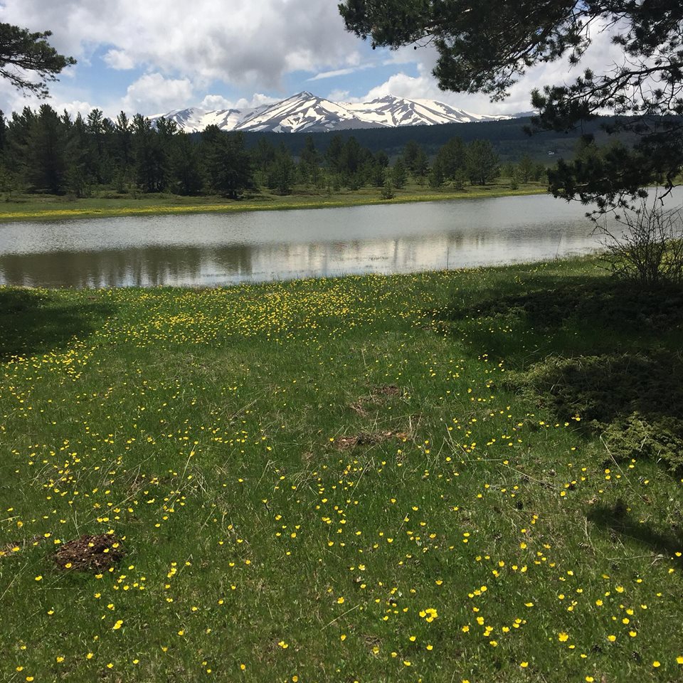 Akıncılar Şenbağlar Köyü Resimleri 18