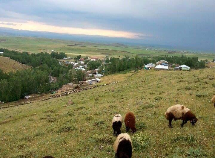 Malazgirt Söğütlü Köyü Resimleri 3