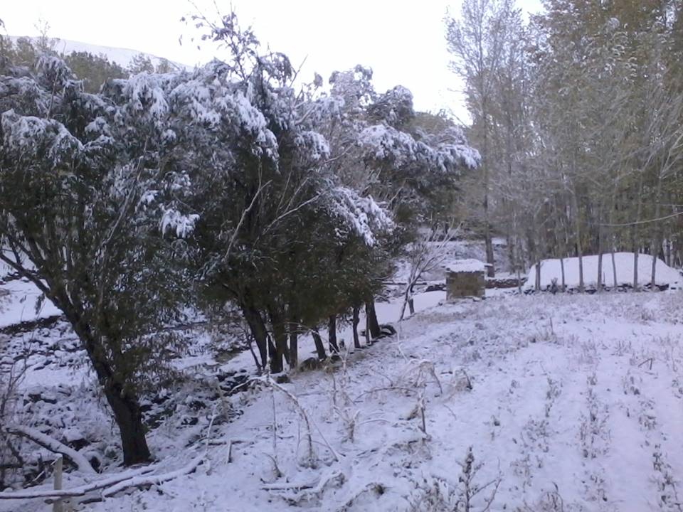 Malazgirt Söğütlü Köyü Resimleri 9