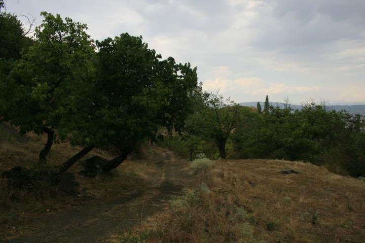 Akıncılar Uğrunca Köyü Resimleri 8