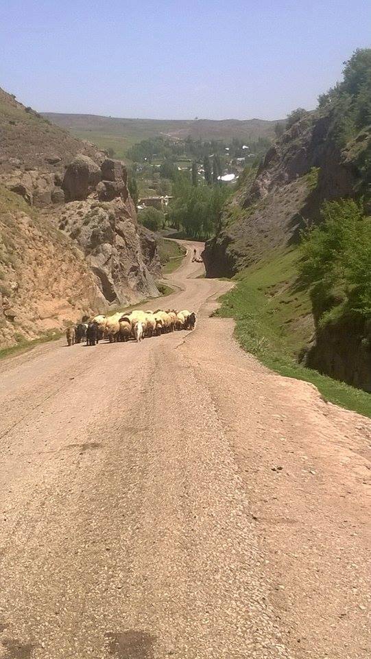 Malazgirt Yolgözler Köyü Resimleri 10