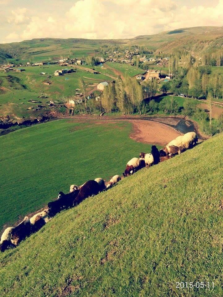 Malazgirt Yolgözler Köyü Resimleri 8