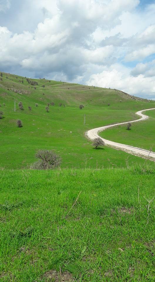 Varto Baltaş Köyü Resimleri 3