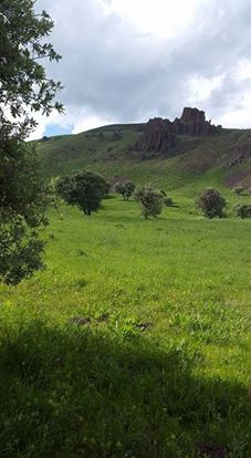 Varto Baltaş Köyü Resimleri 4