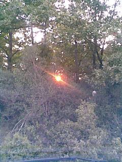 Dilovası Köseler Köyü Resimleri 1