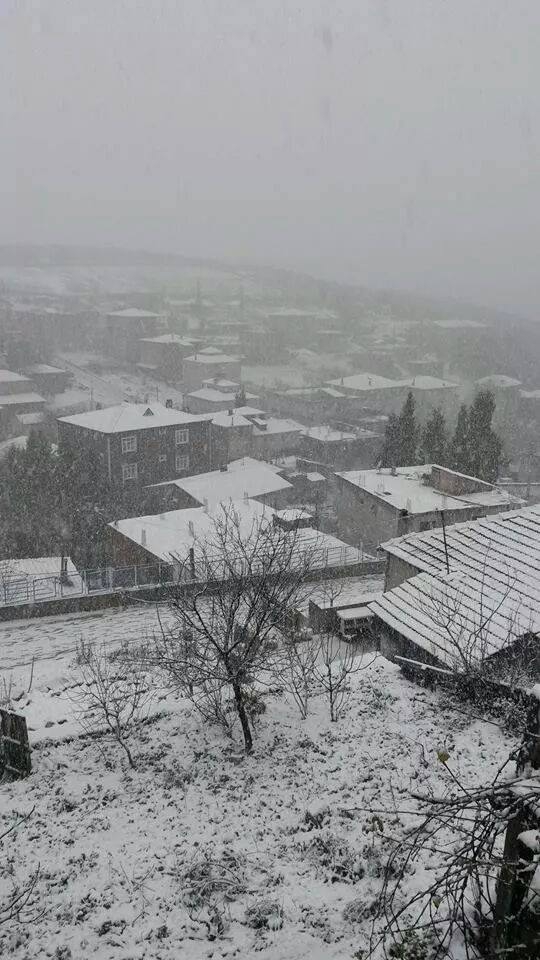 Dilovası Turgut Özal Köyü Resimleri 2