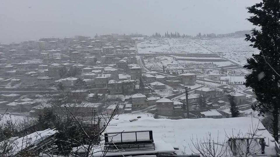 Dilovası Turgut Özal Köyü Resimleri 3