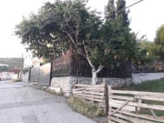 Dilovası Turgut Özal Köyü Resimleri 5