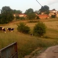 Gebze Ahatlı Köyü Resimleri 12