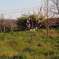 Gebze Ahatlı Köyü Resimleri 18