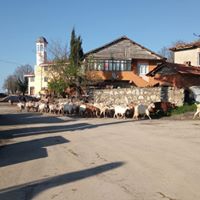 Gebze Ahatlı Köyü Resimleri 20