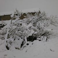 Gebze Ahatlı Köyü Resimleri 5