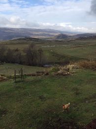 Varto Çalıdere Köyü Resimleri 10