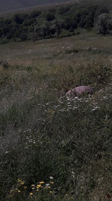 Varto Çaltılı Köyü Resimleri 1