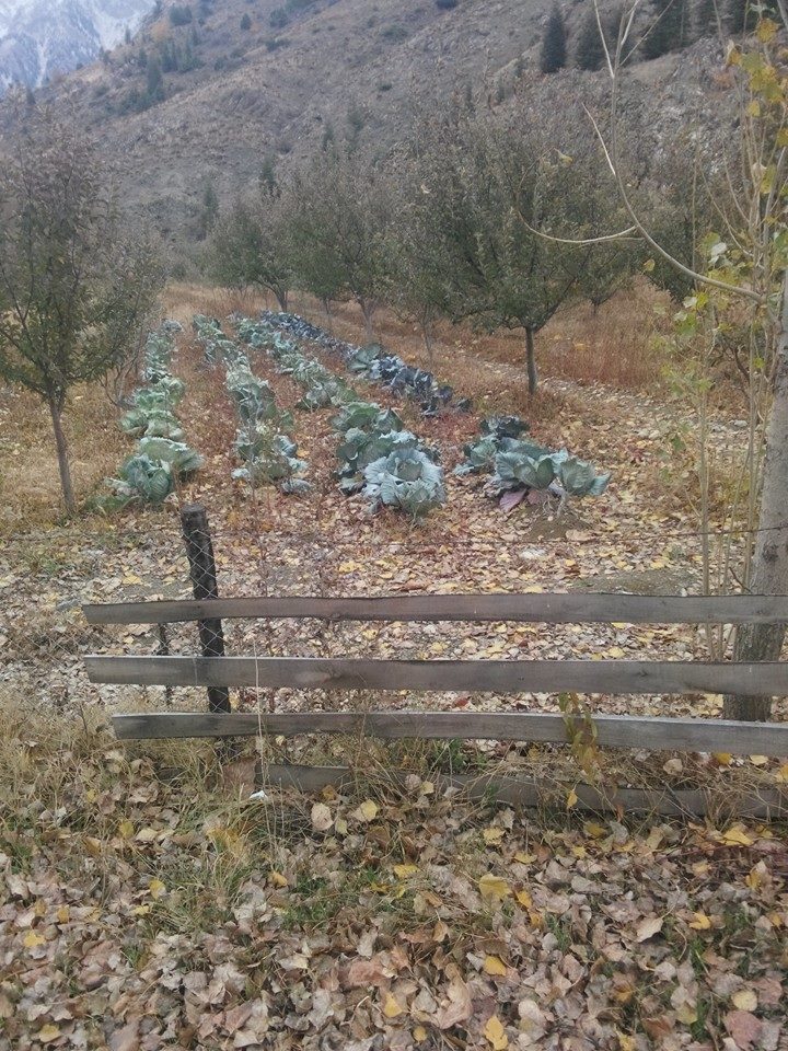 Adana Pozantı Aşçıbekirli Köyü Resimleri 10
