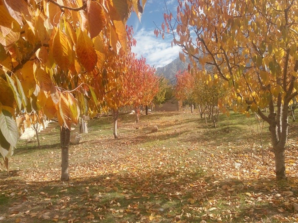 Adana Pozantı Aşçıbekirli Köyü Resimleri 11
