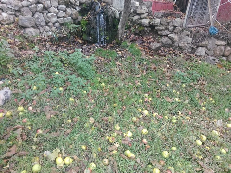 Adana Pozantı Aşçıbekirli Köyü Resimleri 15