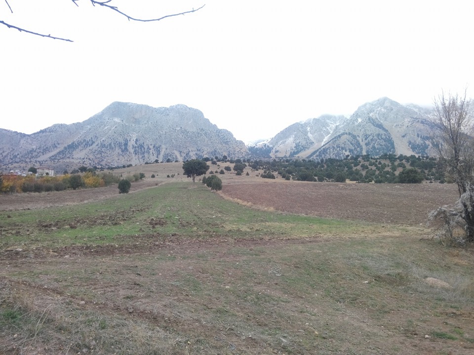 Adana Pozantı Aşçıbekirli Köyü Resimleri 17