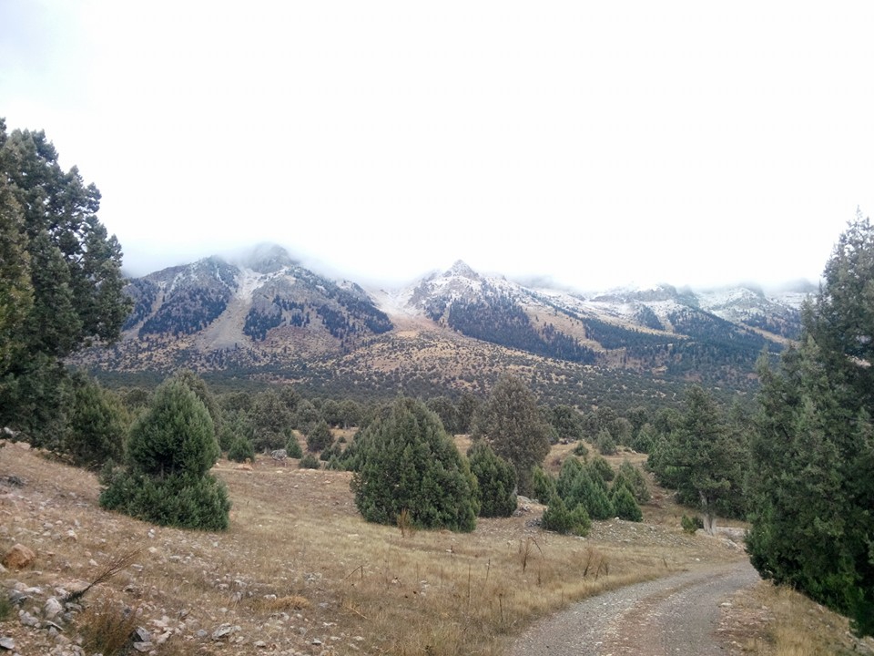 Adana Pozantı Aşçıbekirli Köyü Resimleri 2