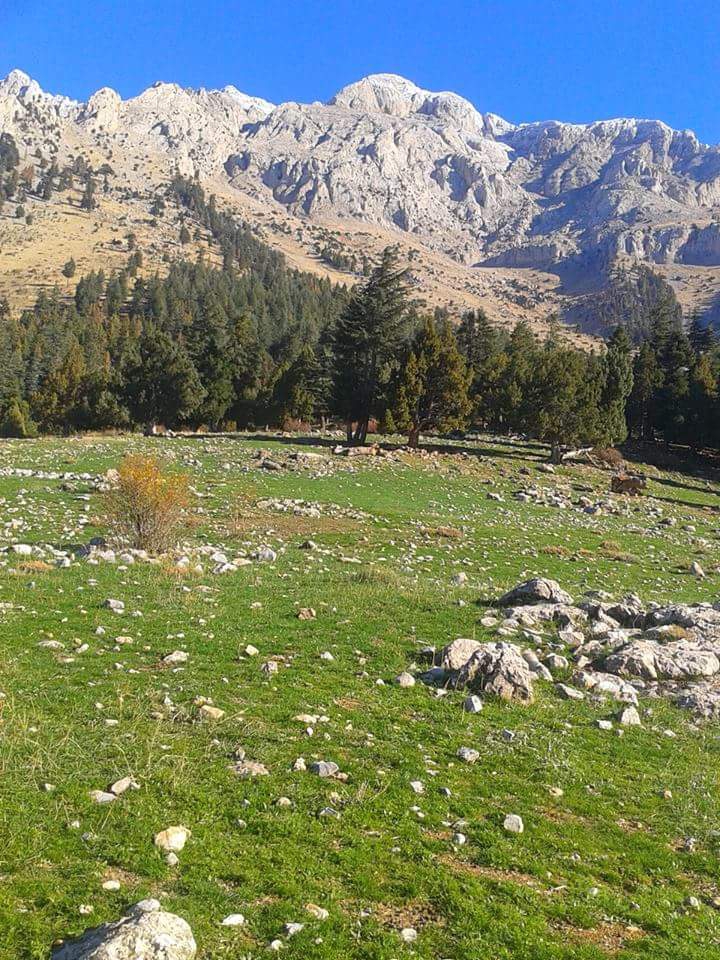 Adana Pozantı Aşçıbekirli Köyü Resimleri 23