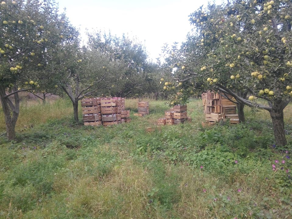 Adana Pozantı Aşçıbekirli Köyü Resimleri 26